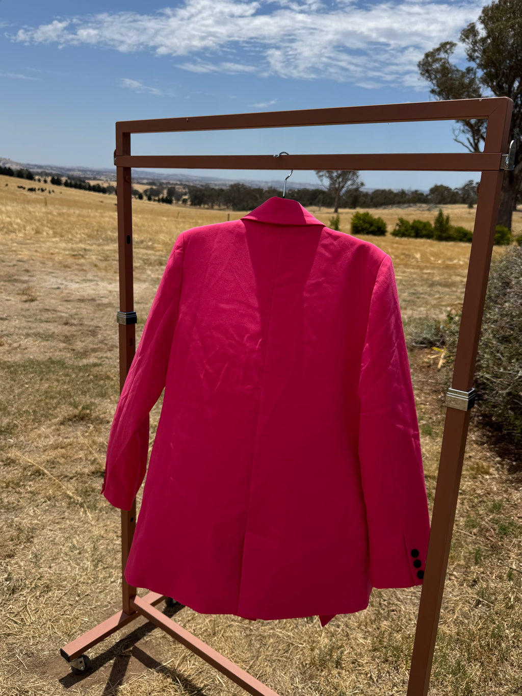 DECJUBA PINK BLAZER 6