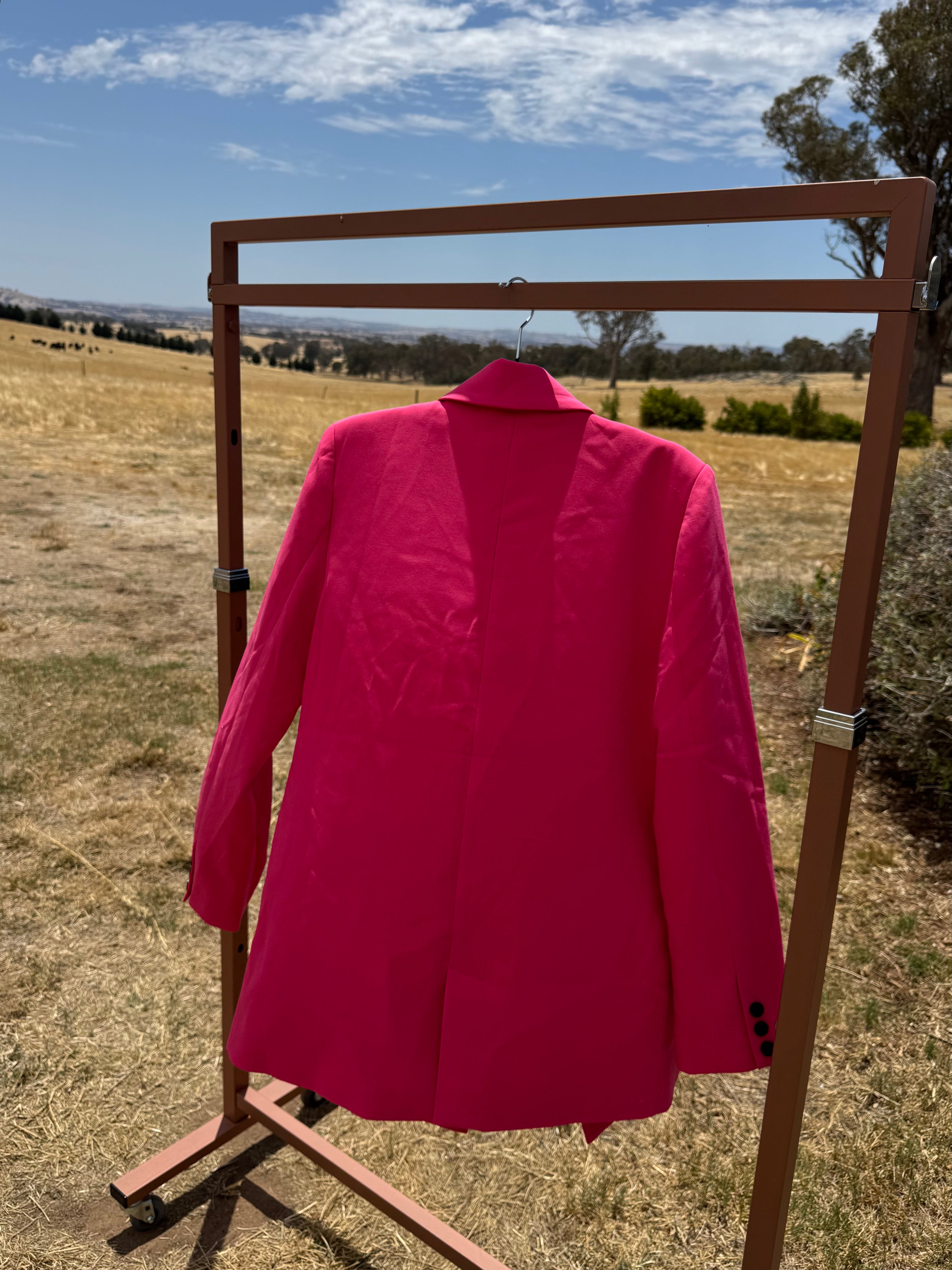 DECJUBA PINK BLAZER 6