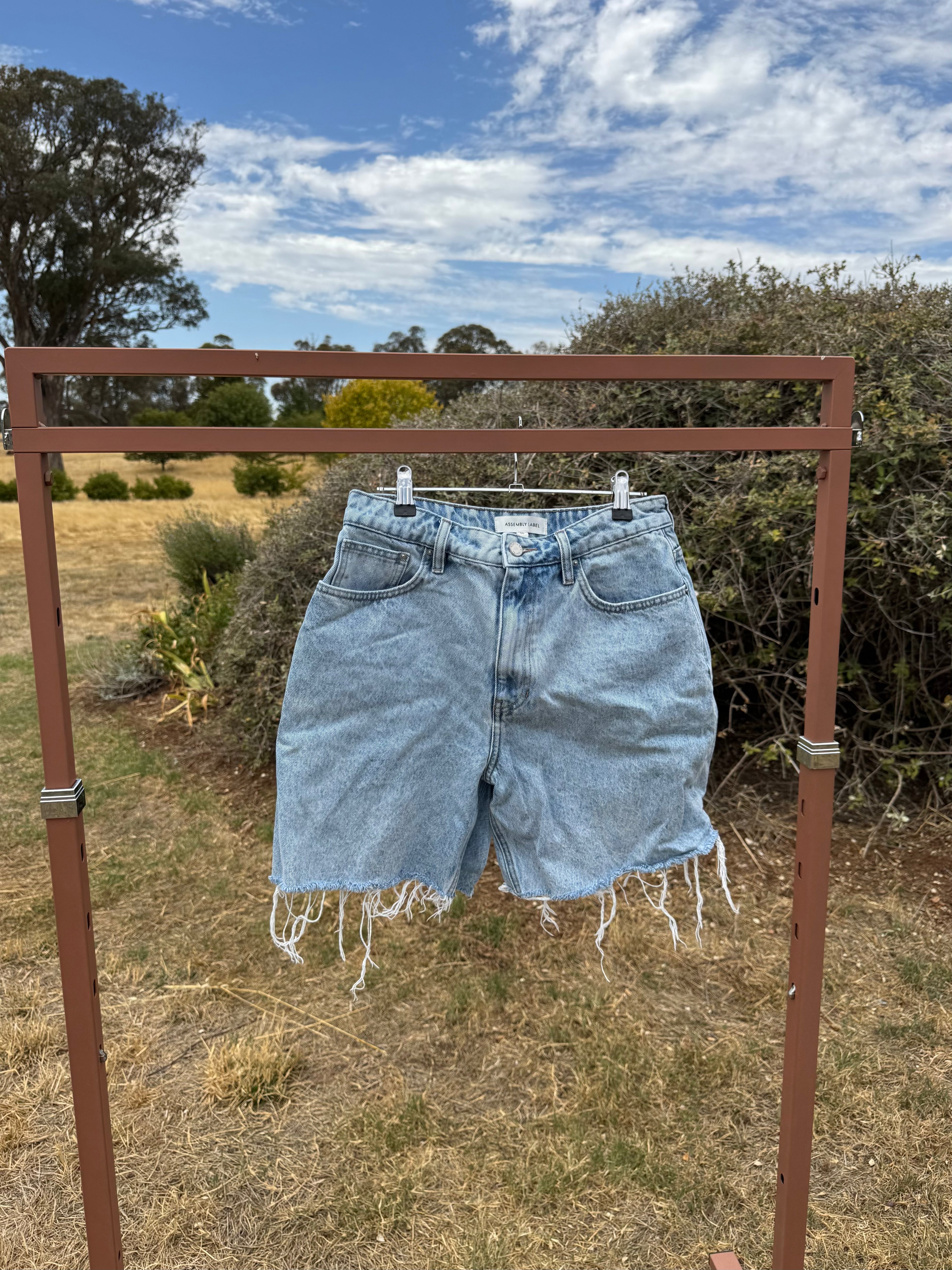 ASSEMBLY LABEL DENIM SHORTS