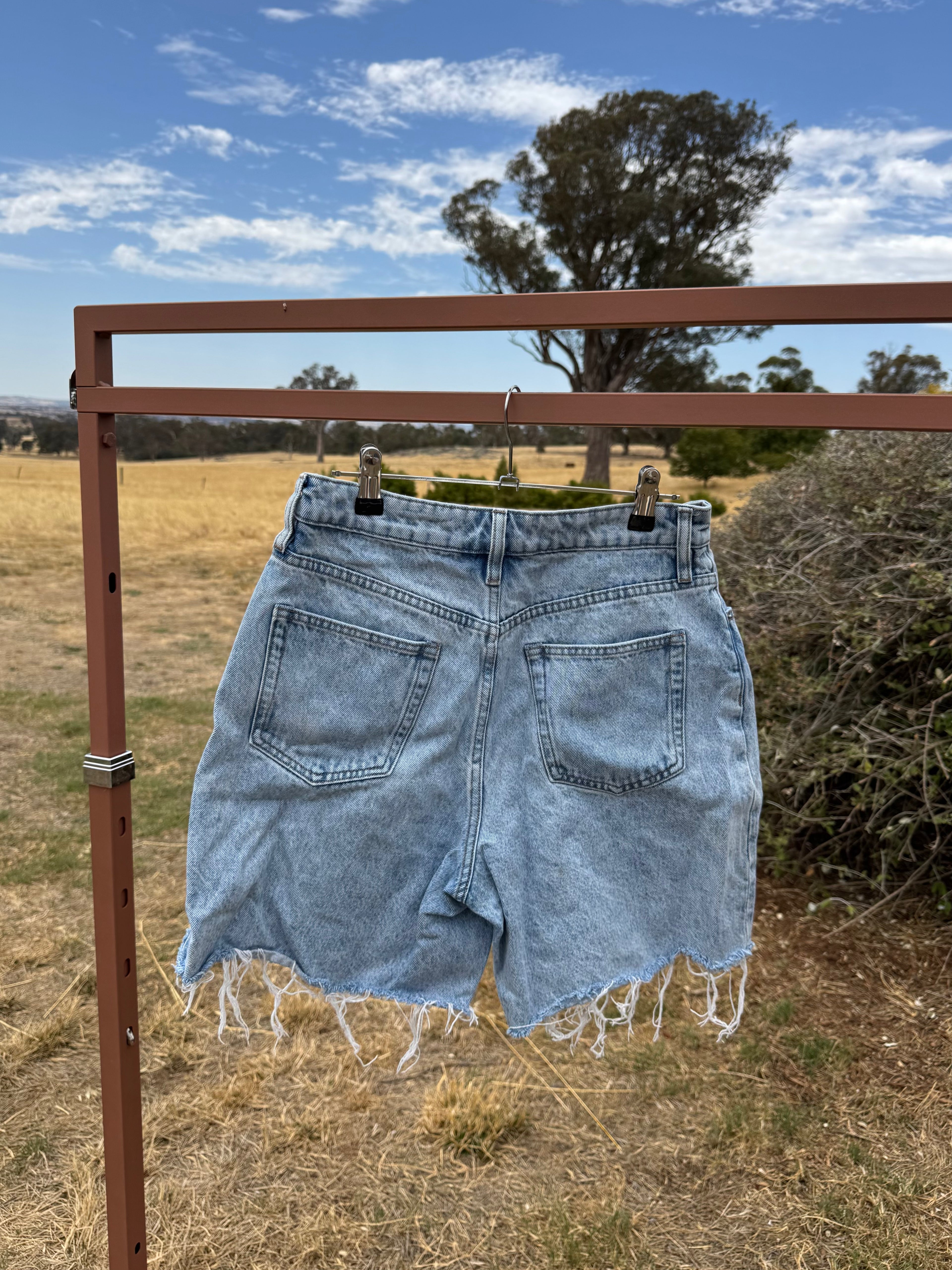 ASSEMBLY LABEL DENIM SHORTS